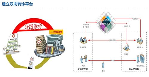 默默耕耘22载 一家医院的互联网数据服务转型之路