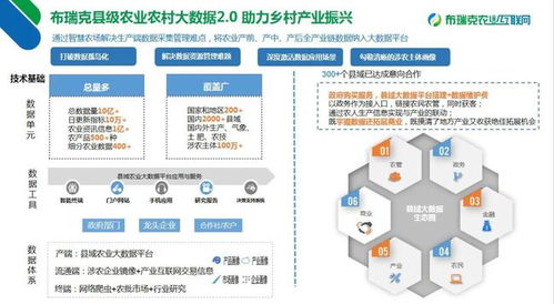 杨岳考察布瑞克农业互联网公司 推动互联网数据服务赋能现代农业